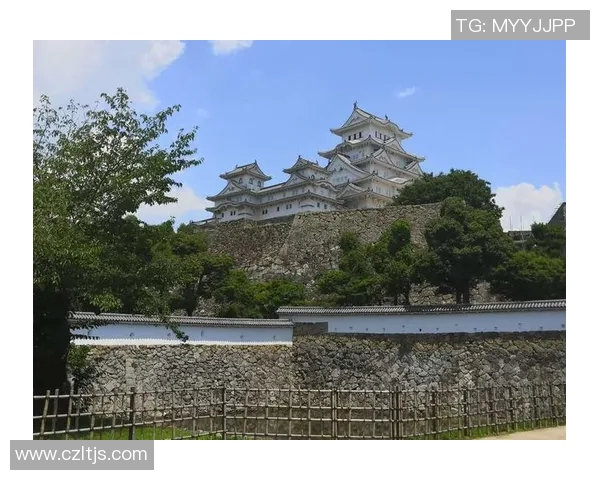日本足球明星的城堡传说与荣耀之路探索